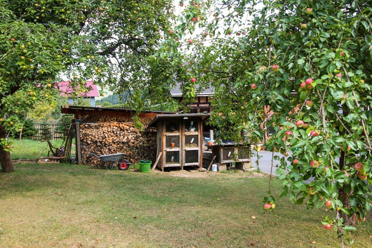 Haus Sonnenwalde - Familie Ruhe Otel Rohrbach  Dış mekan fotoğraf