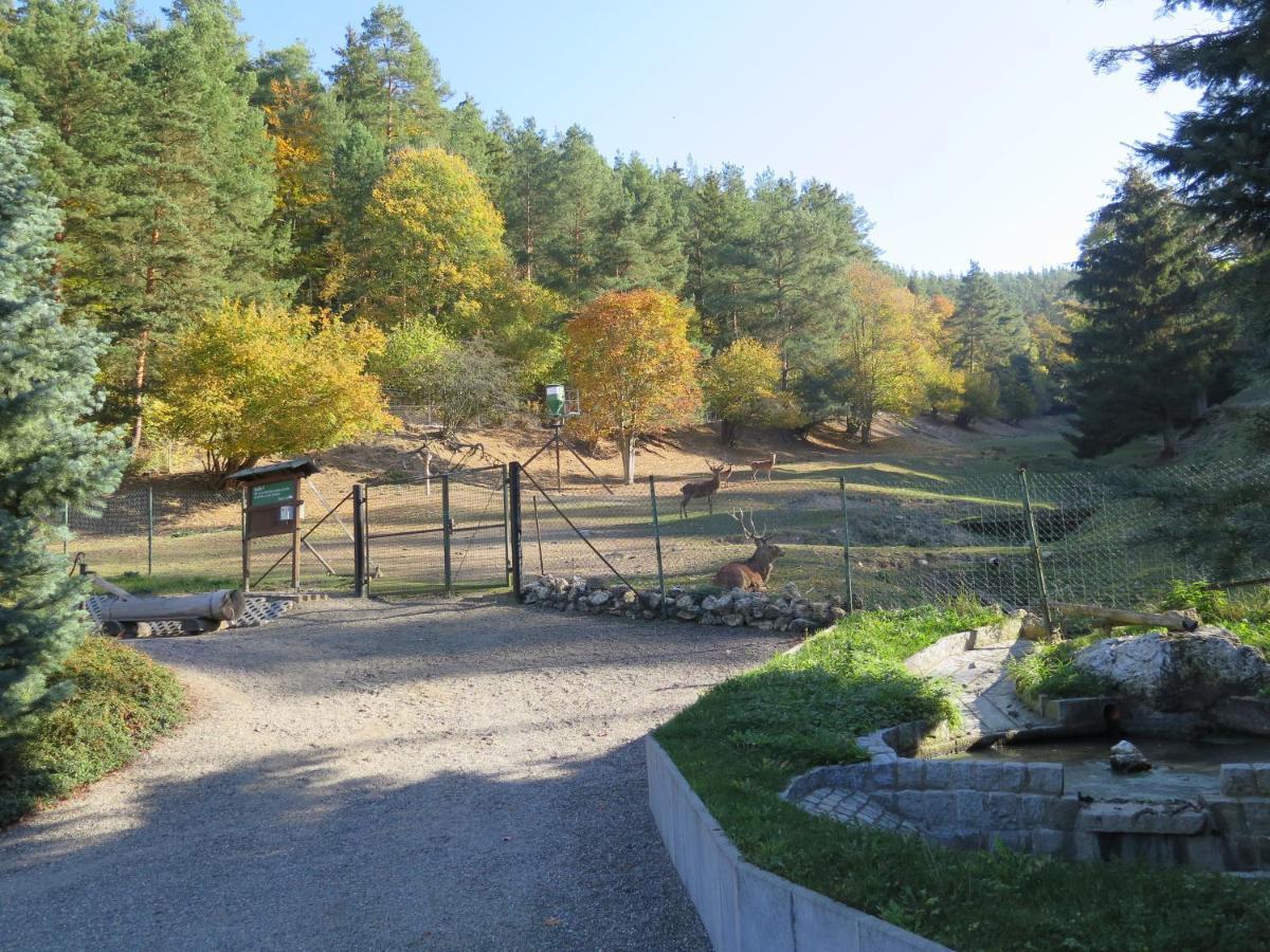Haus Sonnenwalde - Familie Ruhe Otel Rohrbach  Dış mekan fotoğraf